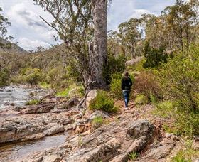 Old Mountain Road Walking Track - Tweed Heads Accommodation 2