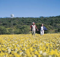 Koolanooka Springs - Tweed Heads Accommodation