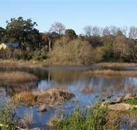 Coolart Wetlands and Homestead - Tweed Heads Accommodation