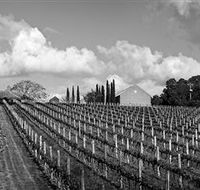 Willow Creek Vineyard - Tweed Heads Accommodation