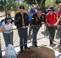 Fossil Rock - Tweed Heads Accommodation