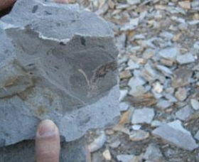 Fossil Rock - Tweed Heads Accommodation 1