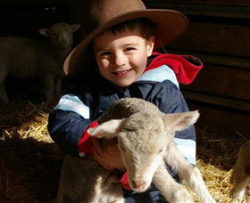 Warrook Farm - Tweed Heads Accommodation 1