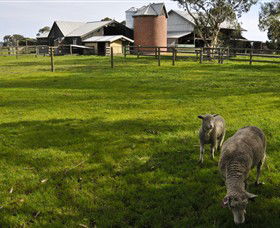 Warrook Farm - Tweed Heads Accommodation 4