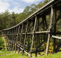 Noojee Trestle Bridge - Tweed Heads Accommodation