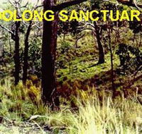Oolong Sanctuary - Tweed Heads Accommodation