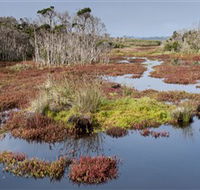 French Island National Park - Tweed Heads Accommodation