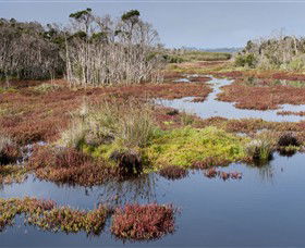 French Island National Park - Tweed Heads Accommodation 0