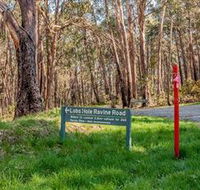 Lobs Hole Ravine 4WD Trail - Tweed Heads Accommodation