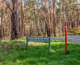 Lobs Hole Ravine 4WD Trail - Tweed Heads Accommodation 0