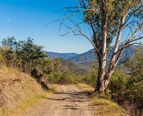 Lobs Hole Ravine 4WD Trail - Tweed Heads Accommodation 2