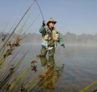 Lake Wallace - Tweed Heads Accommodation