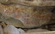 Mount Yarrowyck Nature Reserve - thumb 0