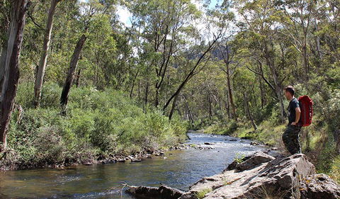 Yarrangobilly Caves - Tweed Heads Accommodation 1