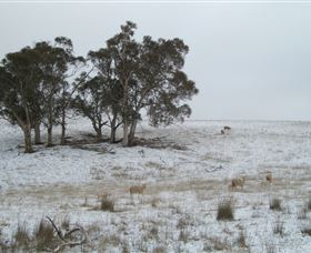 Crookwell Wind Farm - Tweed Heads Accommodation 2