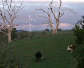 Crookwell Wind Farm - Tweed Heads Accommodation 1