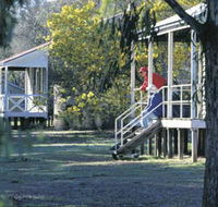 Dryandra Woodland - Tweed Heads Accommodation