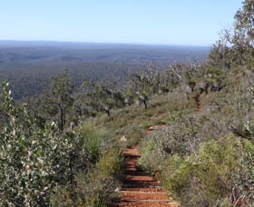 Mount Dale Walk Trail - Tweed Heads Accommodation 0