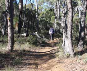 Mount Dale Walk Trail - Tweed Heads Accommodation 2