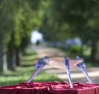 Lillico Glass Studio - Tweed Heads Accommodation