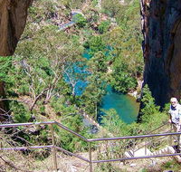 Carlotta Arch walking track - Tweed Heads Accommodation