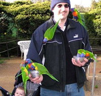 Canberra Walk In Aviary - Tweed Heads Accommodation