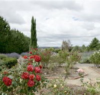 Crystal Brook Lavender Farm - Tweed Heads Accommodation