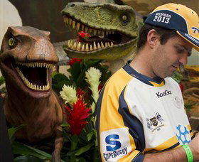 National Dinosaur Museum - Tweed Heads Accommodation 3