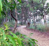 Mount Mutton Walking Trail - Tweed Heads Accommodation