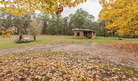 Major Clews Hut Walking Track - Tweed Heads Accommodation 2