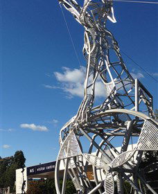 Australian Institute Of Sport (AIS) - Tweed Heads Accommodation 0