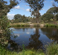 Cooleman Ridge - Tweed Heads Accommodation