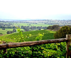 Hollydene Estate Wines And Vines Restaurant - Tweed Heads Accommodation 2