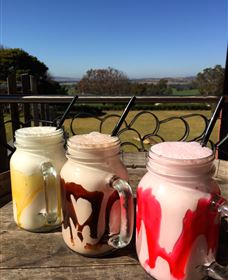 Hollydene Estate Wines And Vines Restaurant - Tweed Heads Accommodation 6