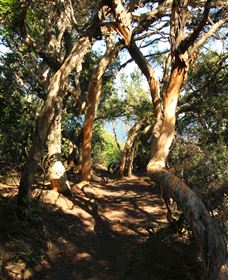My Walking Detour - Tweed Heads Accommodation 6