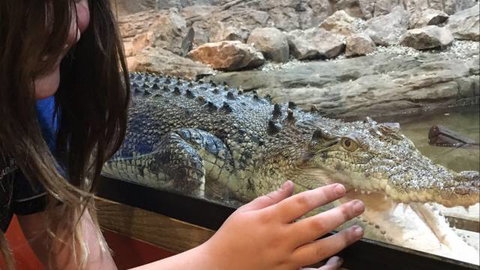 Canberra Reptile Zoo - Tweed Heads Accommodation 3