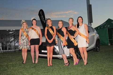 Bathurst Harness Racing Club - Tweed Heads Accommodation 2