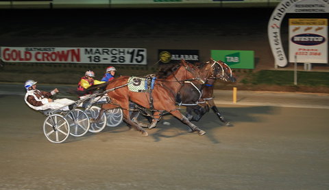 Bathurst Harness Racing Club - Tweed Heads Accommodation 3