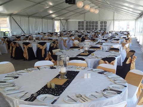 Bathurst Harness Racing Club - Tweed Heads Accommodation 5