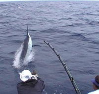 Amokura Charters - Tweed Heads Accommodation