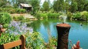 Gone Walkabout Safaris - Tweed Heads Accommodation 0