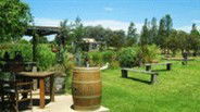 Gone Walkabout Safaris - Tweed Heads Accommodation 2
