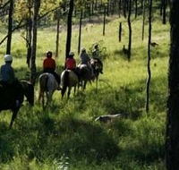 Hunter Valley Horse Riding and Adventures - Tweed Heads Accommodation