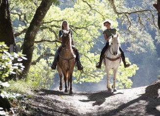 Hunter Valley Horse Riding And Adventures - Tweed Heads Accommodation 1