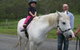 Hunter Valley Horse Riding And Adventures - thumb 2
