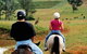 Hunter Valley Horse Riding And Adventures - thumb 3
