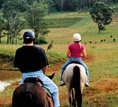 Hunter Valley Horse Riding And Adventures - Tweed Heads Accommodation 3