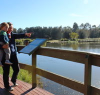 Hunter Wetlands Centre Australia - Tweed Heads Accommodation
