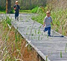 Hunter Wetlands Centre Australia - Tweed Heads Accommodation 1