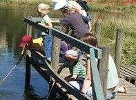 Hunter Wetlands Centre Australia - Tweed Heads Accommodation 2